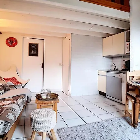 דירה Carlines Ii - Duplex - Acces Direct Aux Pistes - Balcon Mae-1384 סן-מרטין-דה-בלוויל